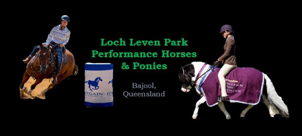 Loch Leven Park Performance Horses & Ponies